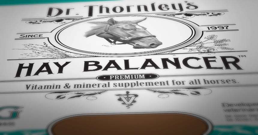 Hay Balancer Package Design and Branding